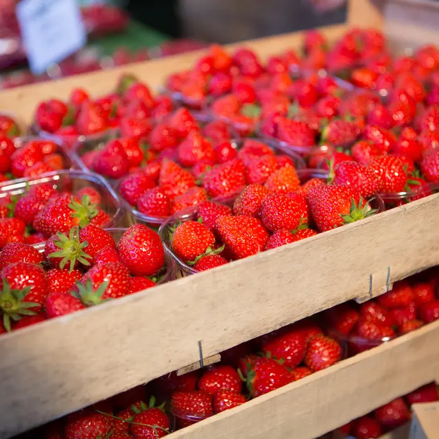 crtb-ad2382_BOURCIER-Simon