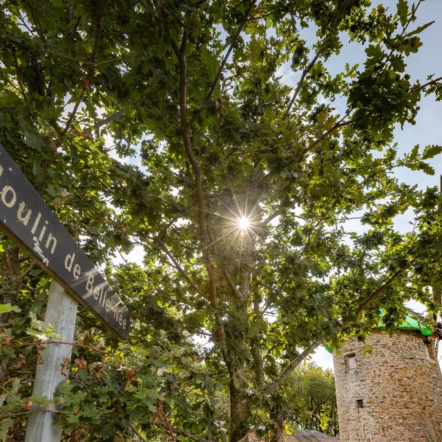 Moulin de Belle Née