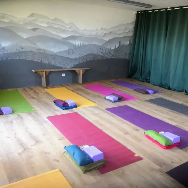 dojo