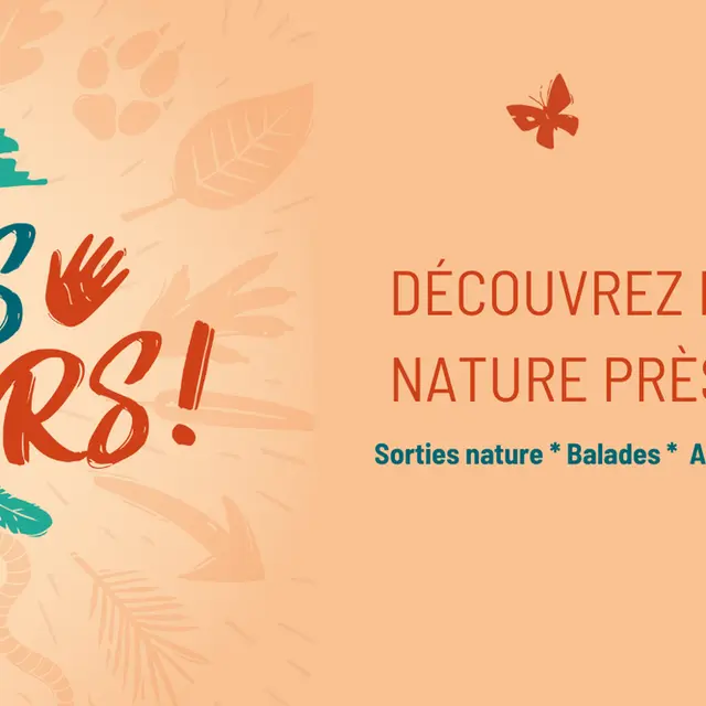 en octobre tous dehors