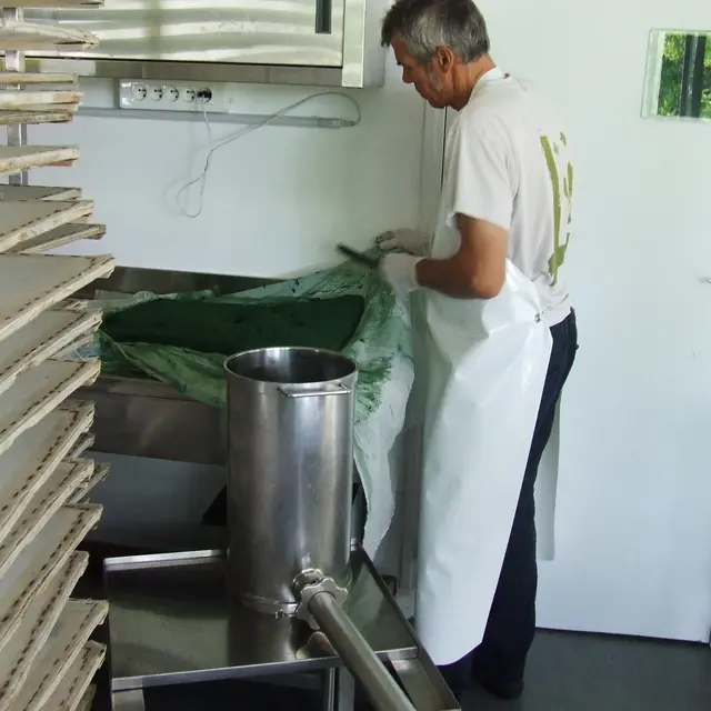 galette Spiruline