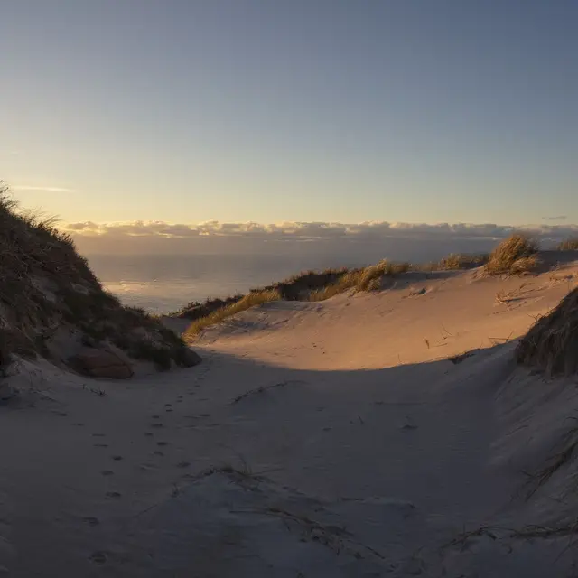 Les rendez-vous nature - Tréguennec - Pays bigouden