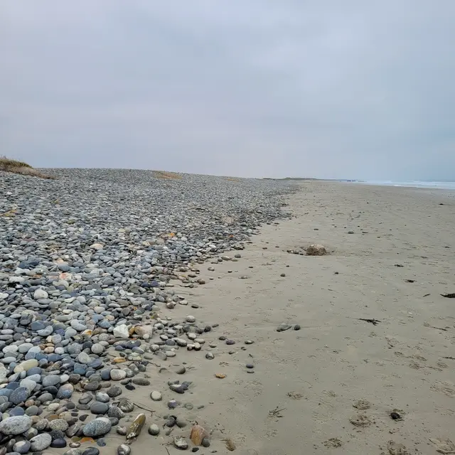 Sortie nature -Tréogat - Pays bigouden - Bigoudenjoy
