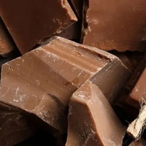 l'histoire du chocolat