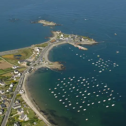 les capucines - port locquémeau