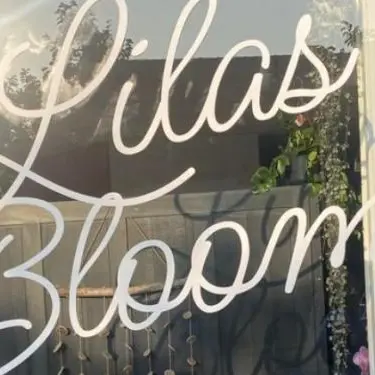 lilas bloom