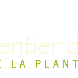 logo sentier des aromes