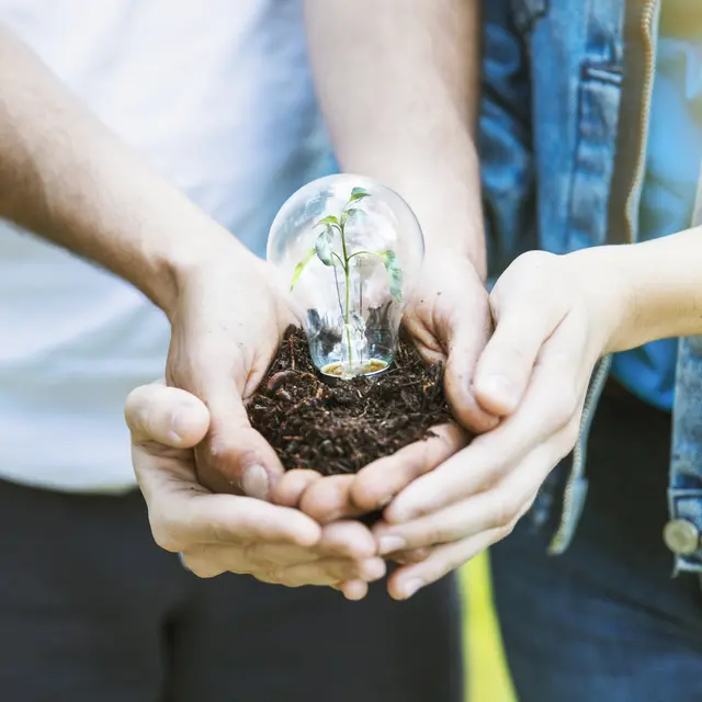 Carrefour des transitions - Pont-l'Abbé - Pays bigouden - Bigoudenjoy