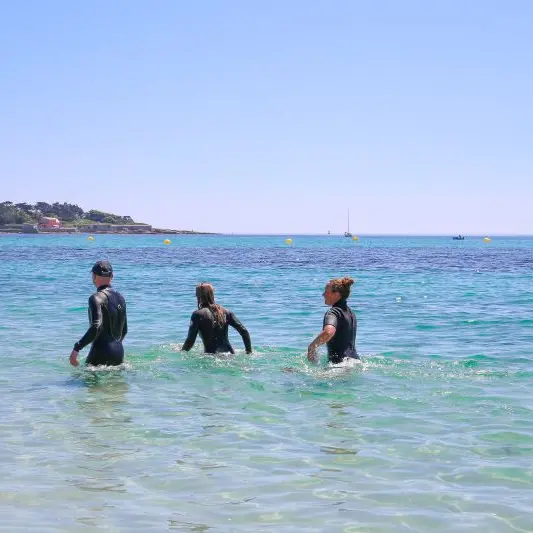 Premier bain de l'année - Penmarch - Pays bigouden