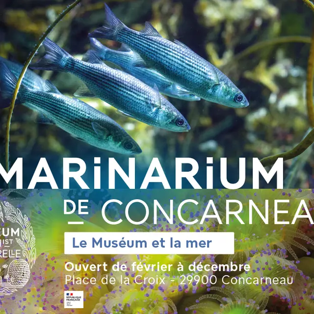marinarium de Concarneau - Aquarium scientifique - Museum national d'histoire naturelle