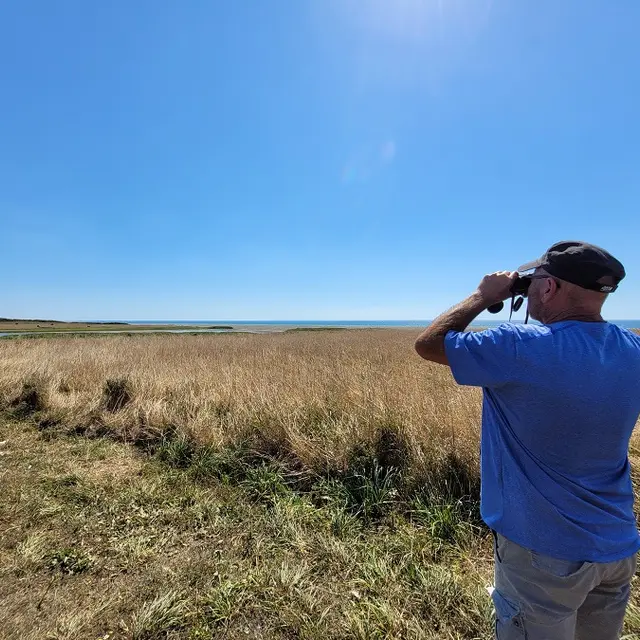 Sortie nature - Plozévet - Pays bigouden