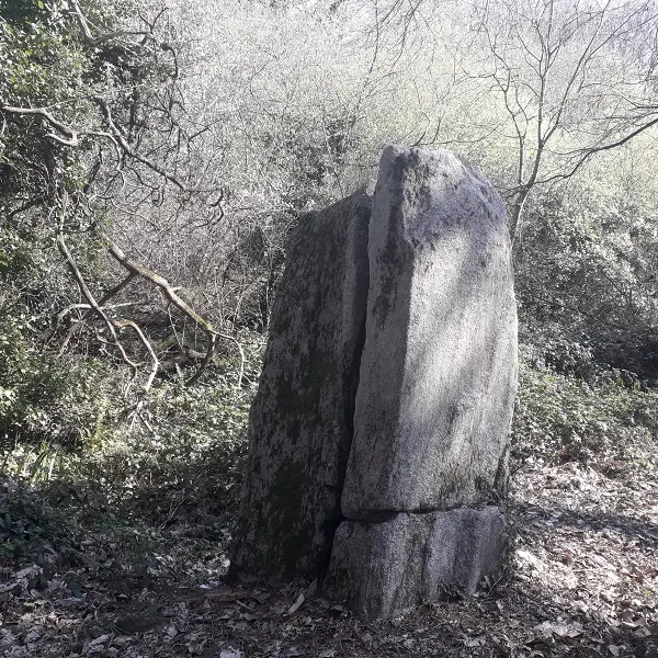 Menhir kerzuot_Plozevet Pays bigouden