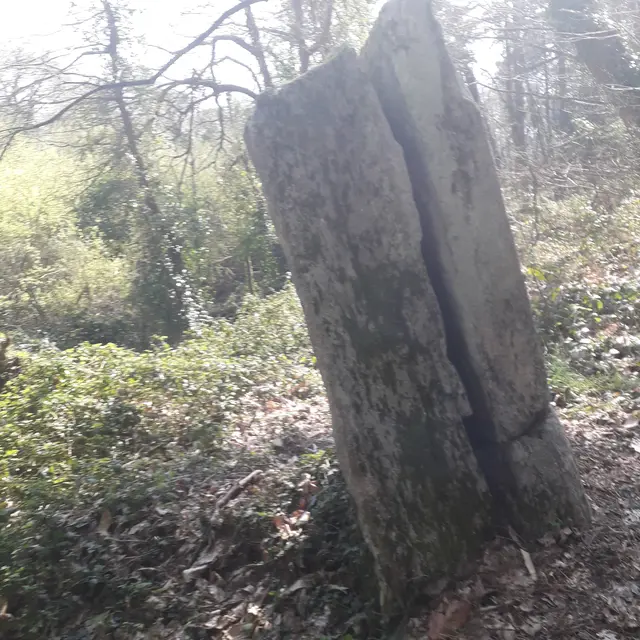 Menhir kerzuot - Plozevet - Pays bigouden