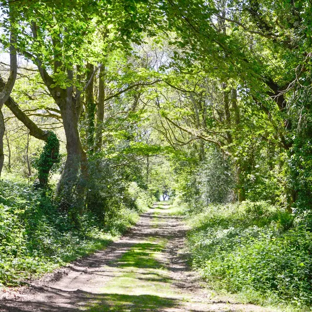 Balade de Stang Vraz - Guiler-sur-Goyen - Pays bigouden
