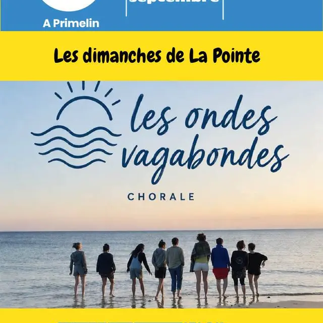 ondes vagabondes
