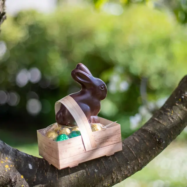 Chasse aux oeufs - Peumerit - Pays bigouden