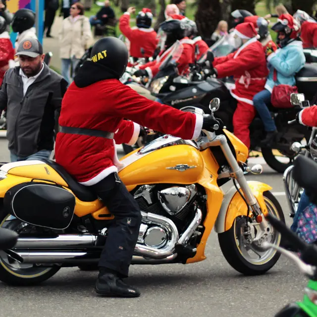 pexels-igor-starkov-233202-776494