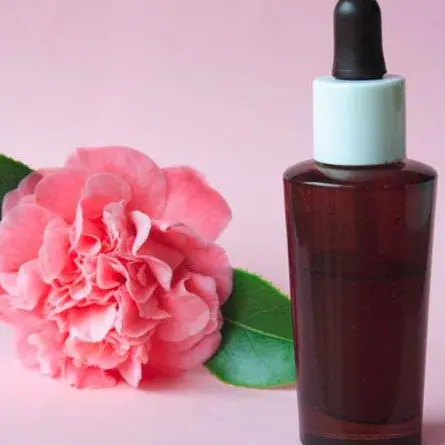 Atelier cosmétique - Pont -l'Abbé - Pays bigouden