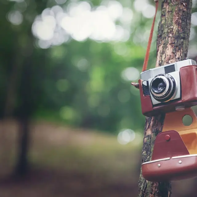 Concours Photo - Guilvinec - Pays Bigouden - Bigoudenjoy