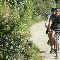rando_velo