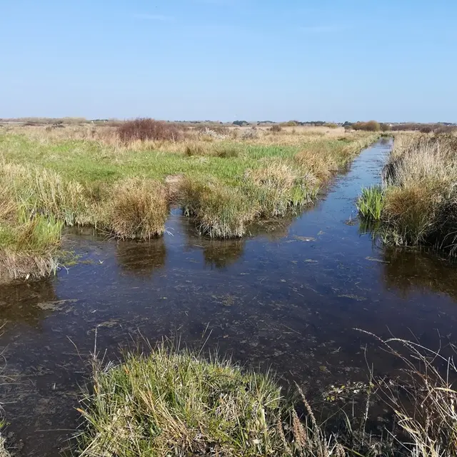 Rando les marais de Lescors - Plomeur - Pays Bigouden