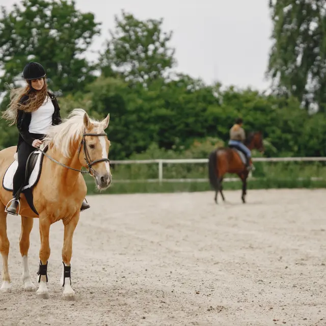 Concours équestre - Plobannalec-Lesconil - Pays Bigouden - Bigoudenjoy