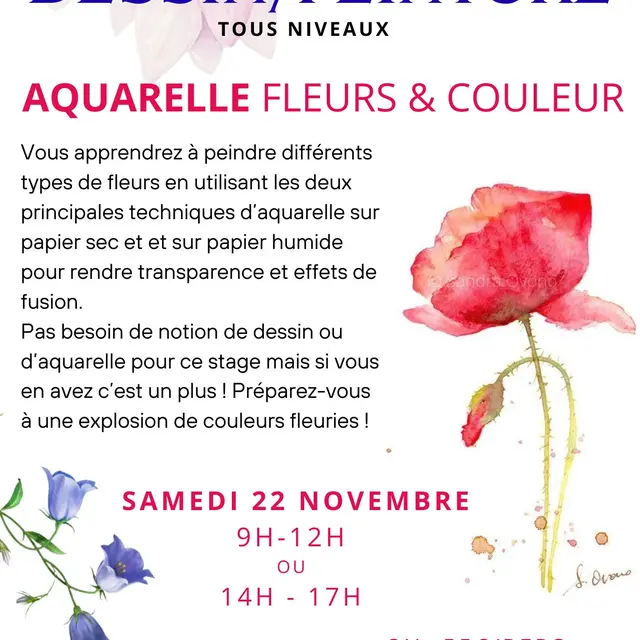 STAGE ET COURS DE DESSIN/PEINTURE