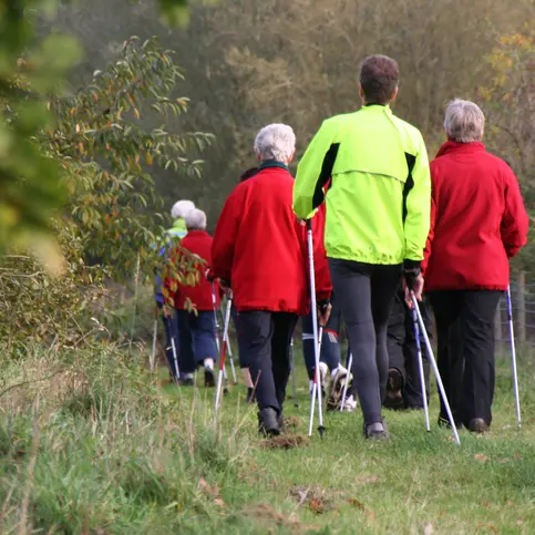 50 - MARCHE RANDONNEE