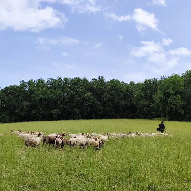 Ferme de Charmonteil Lisle