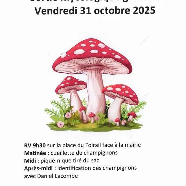 567187765_1149605186803113_8367134066519324426_n