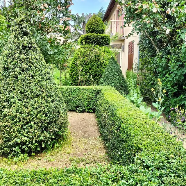 Jardin à l'ombre de la ville