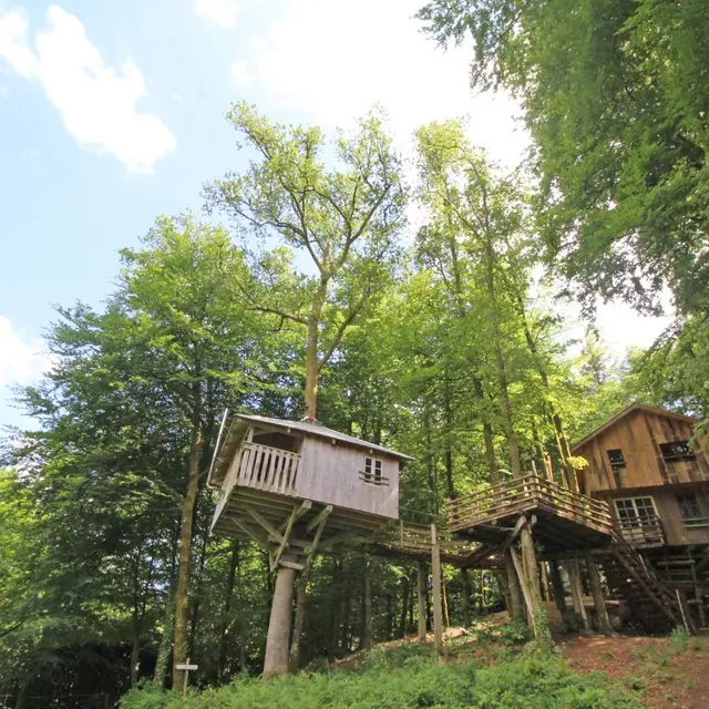 Cabane du 
