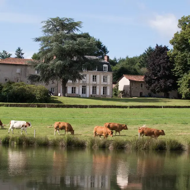Le Masbareau, Chambres et Table d'Hôtes de Charme 87400 St Léonard-de-Noblat, Haute-Vienne, Nouvelle-Aquitaine, Limousin_1