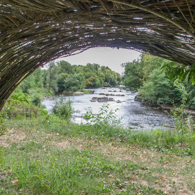 08082018-DSC_0656