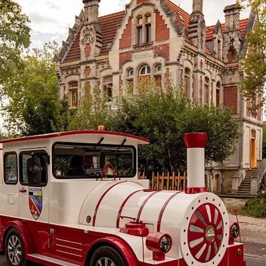 Petit train