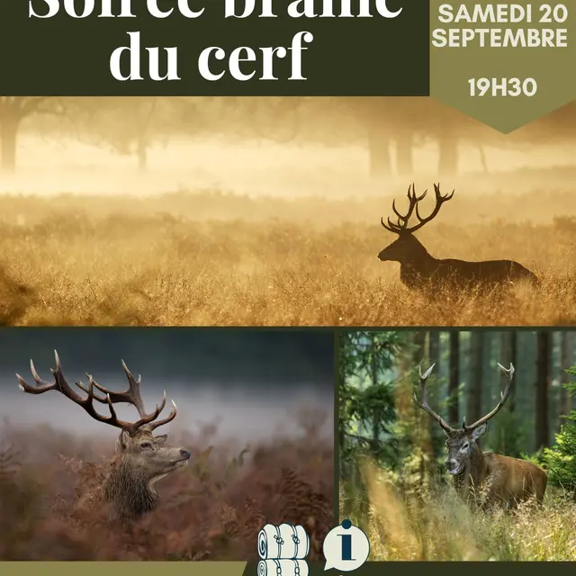 Copie de Copie de Copie de Bleu Beige Blanc Illustration Photos Moderne Animé Evènement Sportif Séjour Randonnée Affiche Poster - 1