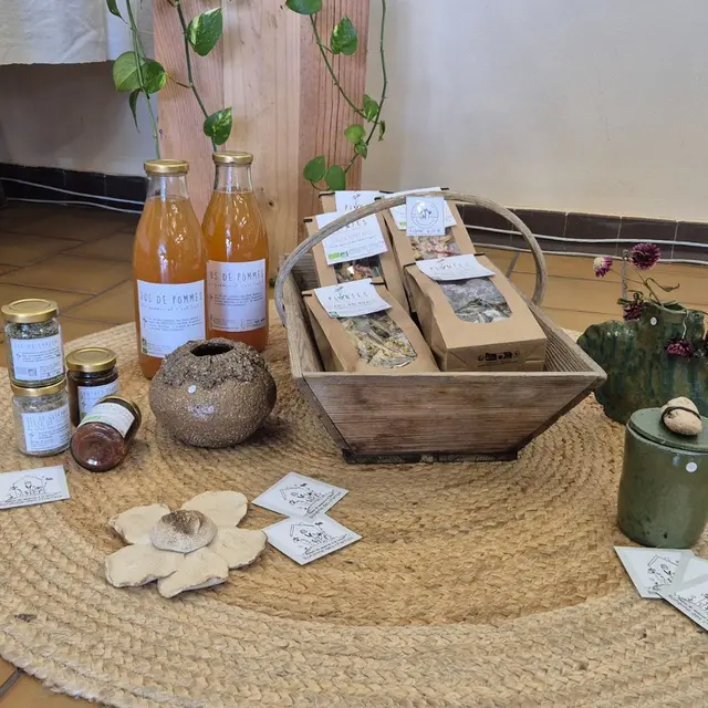 bohème des champs (1920 x 1080 px) - 1