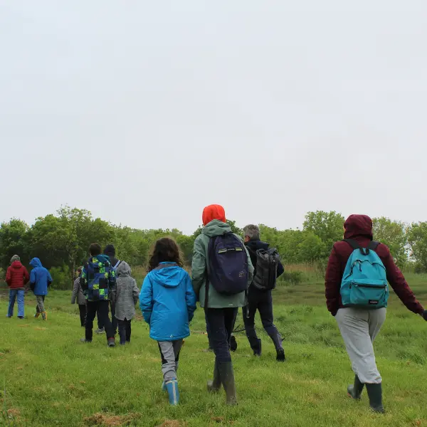 Activité Terres d'oiseaux - Jeunes aventuriers - 800x600