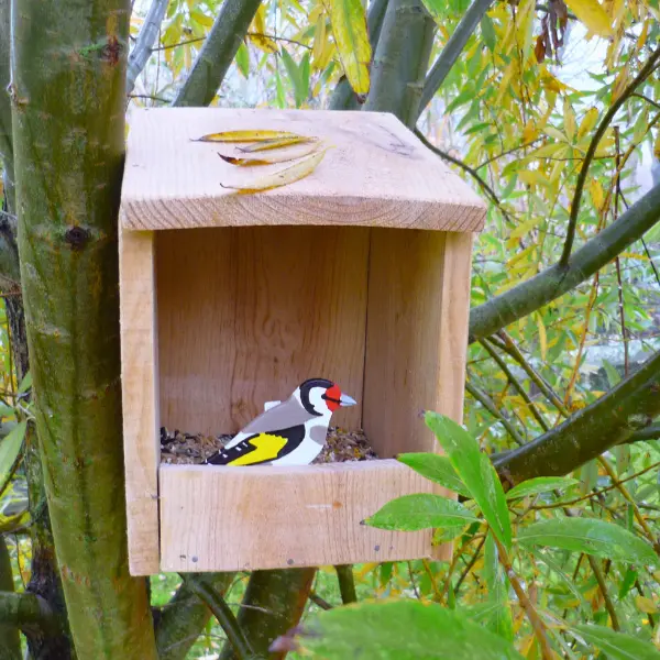 Activité mangeoire à Terres d'Oiseaux - 800x600