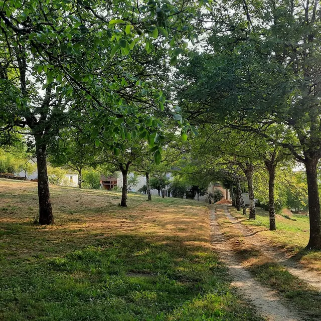 1 ENTREE DOMAINE BORIA 3 2