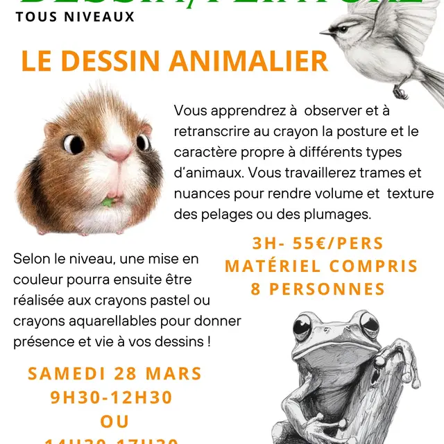 STAGES ET COURS DE DESSIN/PEINTURE - 56