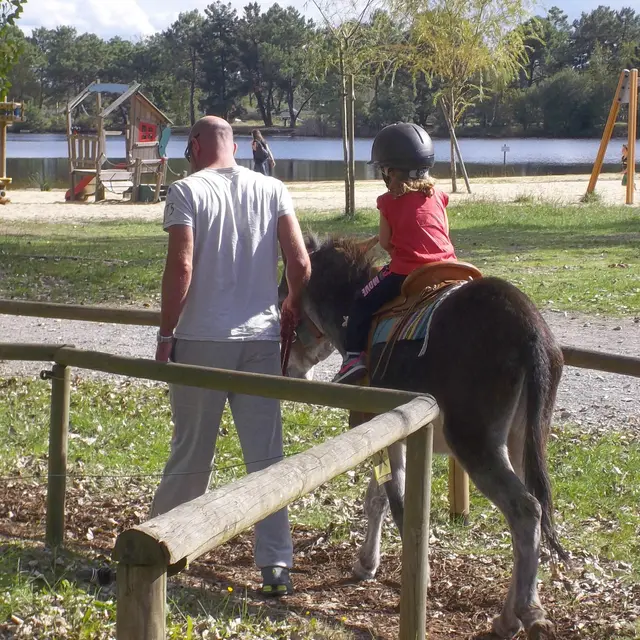 Promenade à dos d'âne