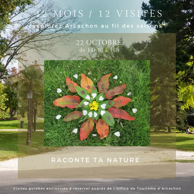 12 mois 12 visites - 19