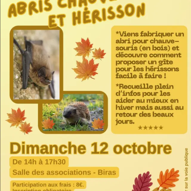 12.10Biras
