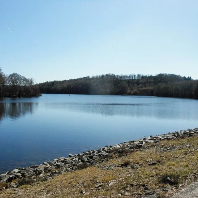 Ricochets de lacs en étangs, d’étangs en fontaines_1