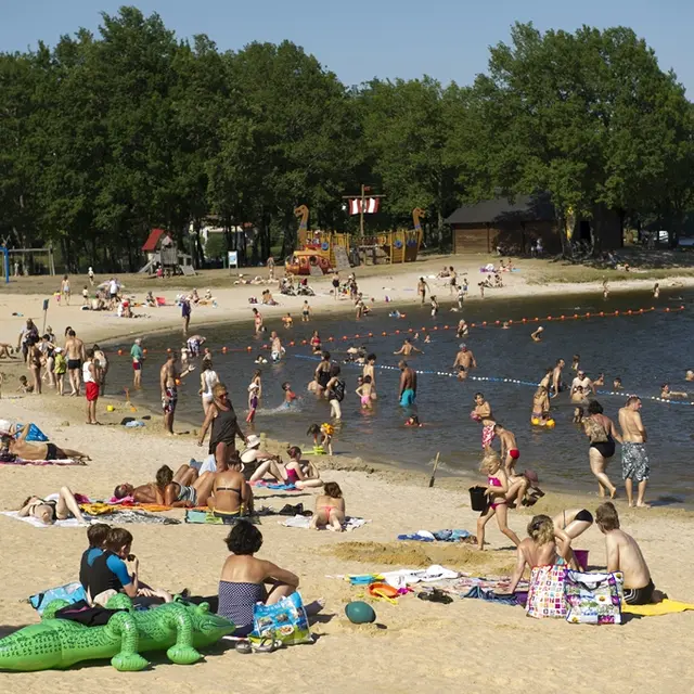 Plage d'Auphelle_1