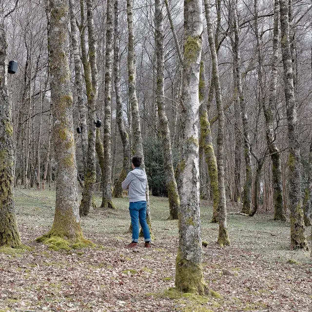 Bois de sculptures de l'Ile de Vassivière_1