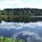 Tourbière de la route élevée_1