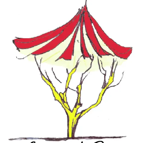 Festival_1