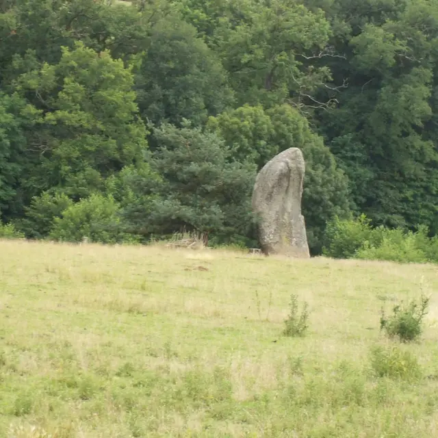 Menhirs du Métayer_1
